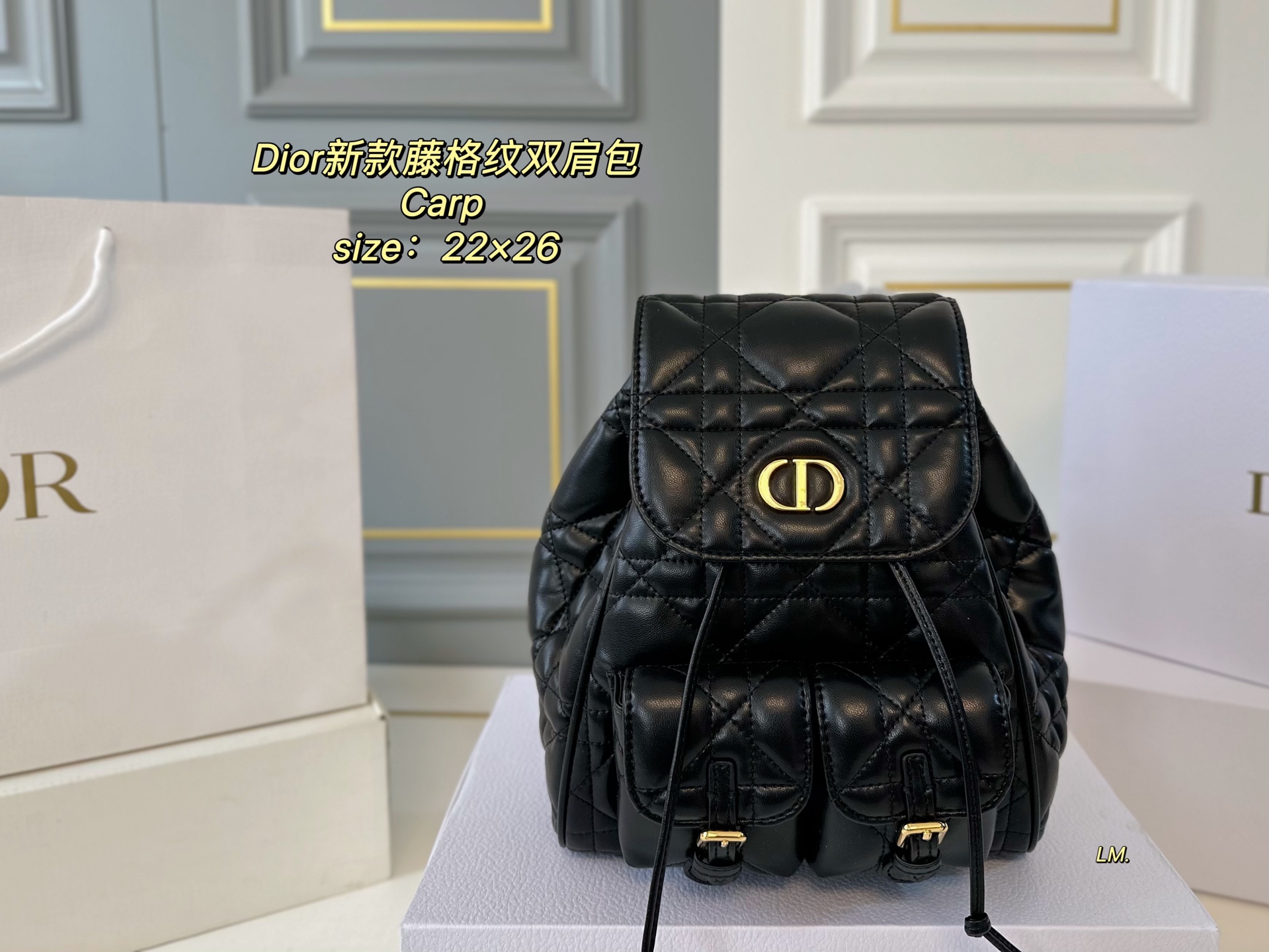 DIOR bag 148